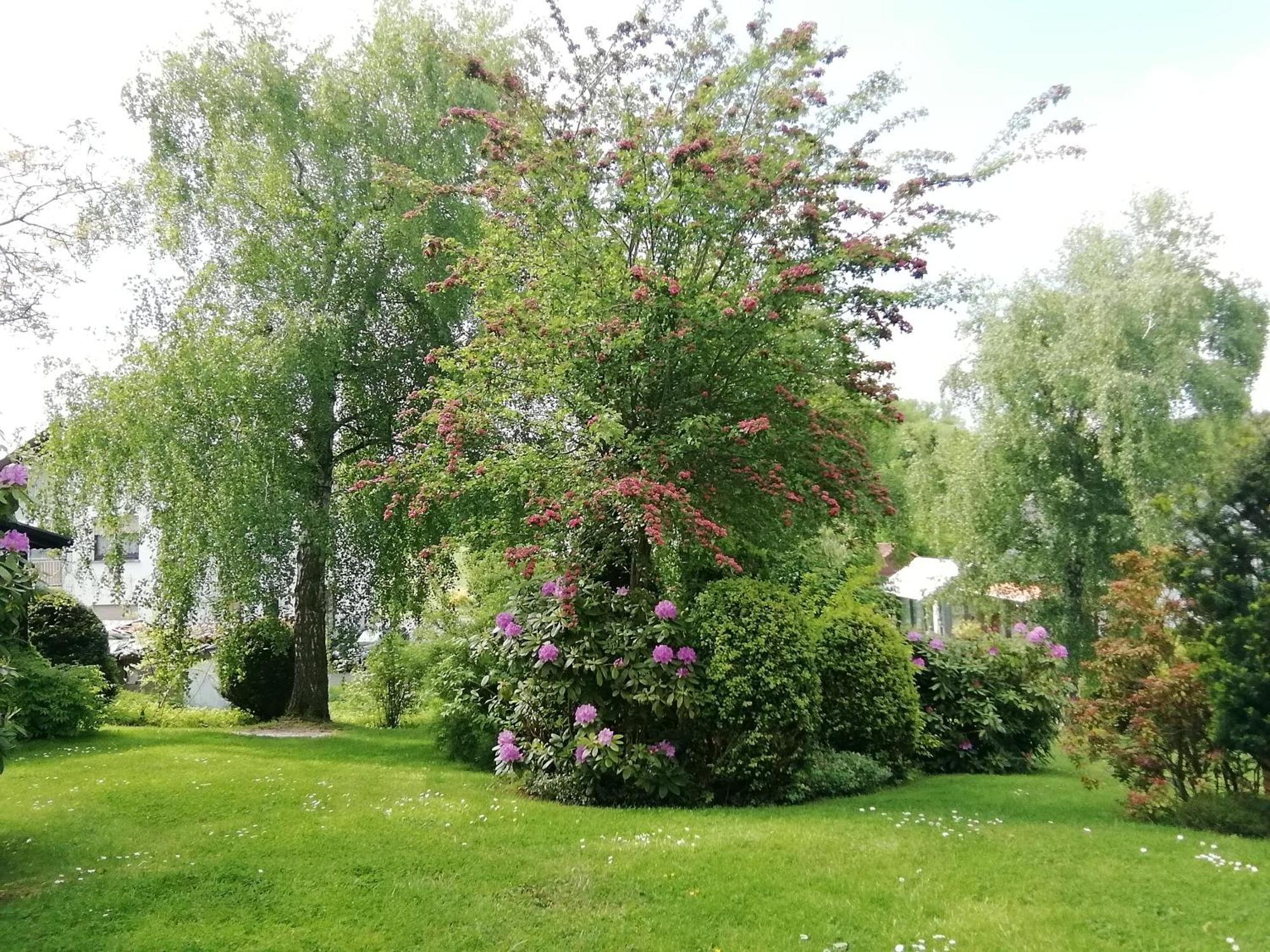 Ferienwohnung Christel Extertal Екстер'єр фото